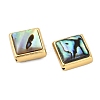 Natural Paua Shell Beads SSHEL-M024-03C-G-2