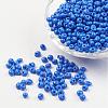 Opaque Glass Seed Beads SEED-R032-A10-1