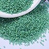 MIYUKI Delica Beads SEED-MY11-DB2053-1