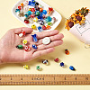 116Pcs Handmade Lampwork Beads LAMP-CD0001-10-6
