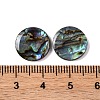 Natural Paua Shell Epoxy Resin Cabochons SSHEL-S279-01A-3