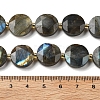 Natural Labradorite Beads Strands G-C116-A164-03-5