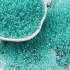 Glass Cylinder Beads SEED-L011-11B-15-1