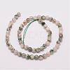 Natural Tree Agate Bead Strands G-G882-6mm-E02-2