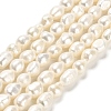 Natural Cultured Freshwater Pearl Beads Strands PEAR-E016-084-1