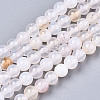 Natural Crackle Agate Beads Strands G-S359-240B-1