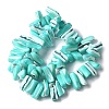 Dyed Natural Trochus Shell Beads Strands SSHEL-C013-09M-2