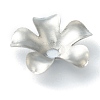 Non-Tarnish 304 Stainless Steel Bead Caps LS-STAS-H149-25P-2
