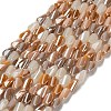 Electroplate Glass Beads Strands EGLA-P065-01A-03-1
