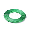 Flat Jewelry Craft Wire Aluminum Wire for Bezel AW-XCP0002-06-2