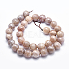 Electroplate Natural Sunstone Beads Strands G-K256-17-10mm-2