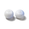 6/0 Opaque Glass Seed Beads SEED-P005-A14-3