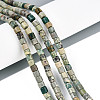 Natural Variscite Beads Strands G-T141-96B-1