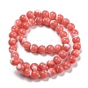 Dyed Natural Trochus Shell Beads Strands BSHE-G034-25A-3