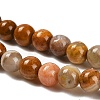 Natural Wood Lace Stone Beads Strands G-B128-A04-01-4