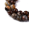 Natural Mexico Crazy Agate Beads Strands G-L615-A01-02-6