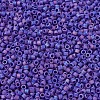 MIYUKI Delica Beads X-SEED-J020-DB0880-3