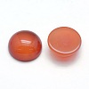 Natural Carnelian Cabochons X-G-P393-R18-10mm-2