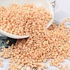Baking Paint Glass Seed Beads SEED-S042-05B-80-1