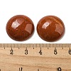 Natural Red Jasper Cabochons G-C115-02A-29-3