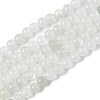 Natural Tianshan Cui Quartzite Beads Strands X-G-B046-01D-1
