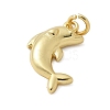 Brass Pendants KK-P293-14G-2