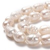 Natural Cultured Freshwater Pearl Beads Strands PEAR-L033-80-01-2