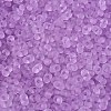 FGB Frosted Transparent Glass Seed Beads SEED-N013-06A-07-3