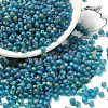 MIYUKI 3.4mm Drop Beads Y-SEED-MY04-DP2405FR-3