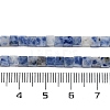 Natural Blue Spot Jasper  Beads Strands G-B129-A10-01-5