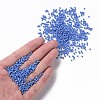 12/0 Glass Seed Beads SEED-US0003-2mm-43B-4