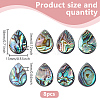 8Pcs Natural Abalone Shell/Paua Shell Beads SHEL-HY0001-18-2