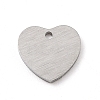Tarnish Resistant 304 Stainless Steel Pendants STAS-F271-06A-P-2