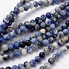Natural Sodalite Beads Strands G-S279-10-6mm-2