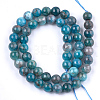 Natural Apatite Beads Strands X-G-F591-01-4