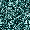 FGB 11/0 Grade A Glass Seed Beads X-SEED-S030-1216-2