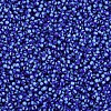 12/0 Glass Seed Beads SEED-S005-8-3