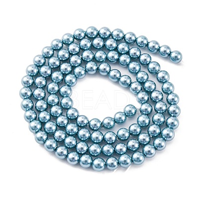 Shell Pearl Beads Strands BSHE-K015-4mm-02-1