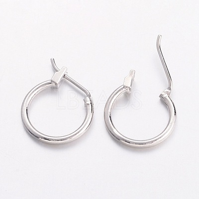 Brass Hoop Earrings LS-X-EC261-NF-1