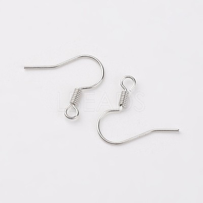 Iron Earring Hooks X-E133-S-1