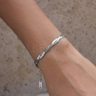 304 Stainless Steel 2-Strand Twisted Flat Snake Chain Bracelets MC1160-1