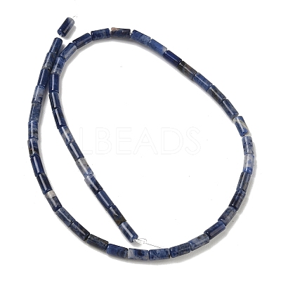 Natural Sodalite Beads Strands G-B091-A24-01-1