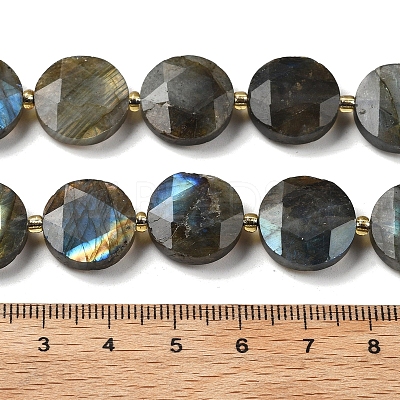 Natural Labradorite Beads Strands G-C116-A164-03-1