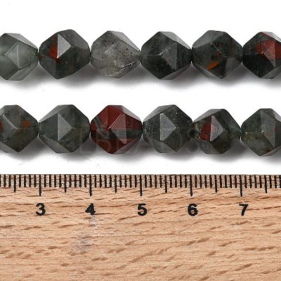 Natural African Bloodstone Beads Strands G-Z119-A28-03-1
