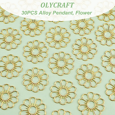 30PCS Alloy Pendant FIND-OC0003-19C-1