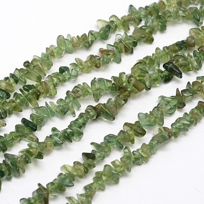 Chips Natural Green Apatite Beads Strands G-N0164-26-1