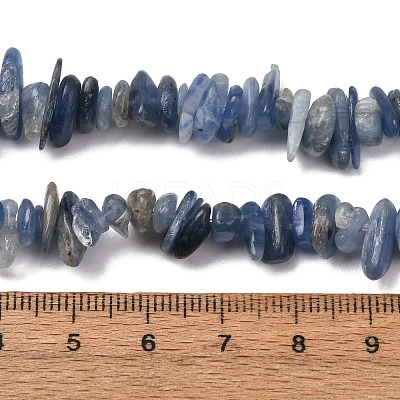 Natural Kyanite/Cyanite/Disthene Chip Beads Strands X-G-E271-78-1