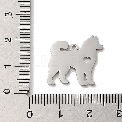 Non-Tarnish 304 Stainless Steel Pendants STAS-O005-13P-1