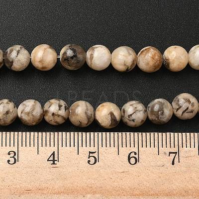 Natural Feldspar Beads Strands G-S259-26-6mm-1