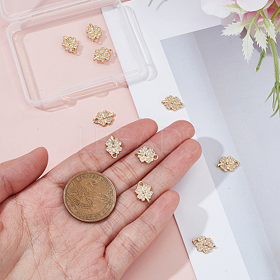 10Pcs Brass Micro Pave Cubic Zirconia Charms KK-HY0004-34-1